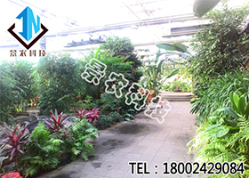 觀光農(nóng)業(yè)案例