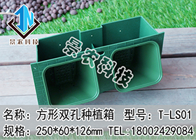 方形雙孔種植箱 型號：T-LS01